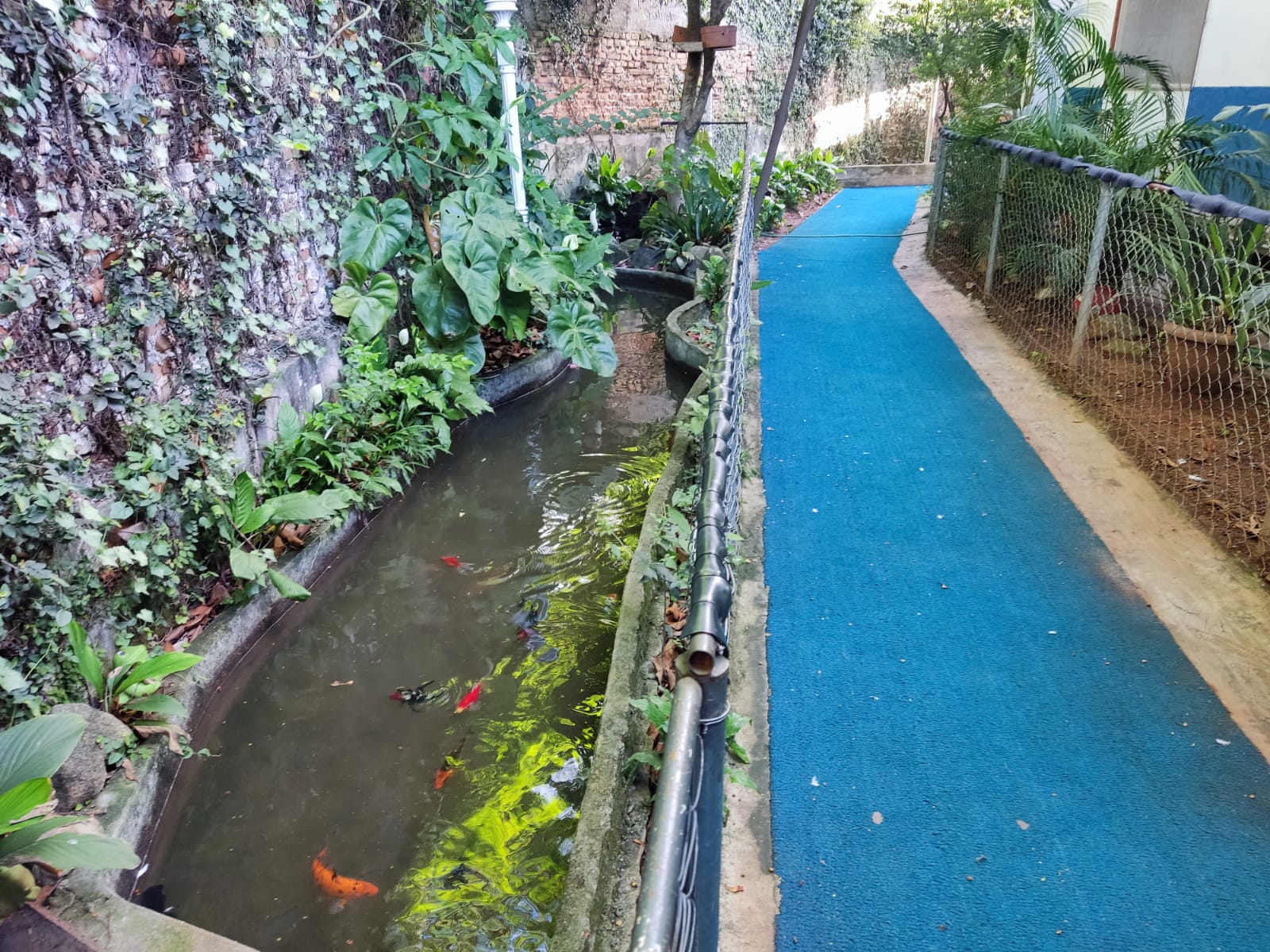 WhatsApp Image 2023-12-19 at 17.59.12.jpeg